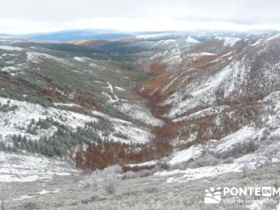 Hayedo de Pedrosa - Parque Natural Sierra Norte de Guadalajara - Hayedo de Tejera Negra